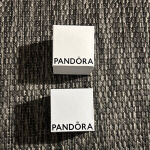 Pandora Charm gift boxes